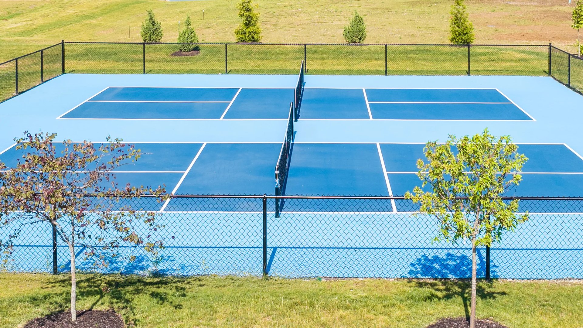 Pickleball Court in Blackberry Creek
