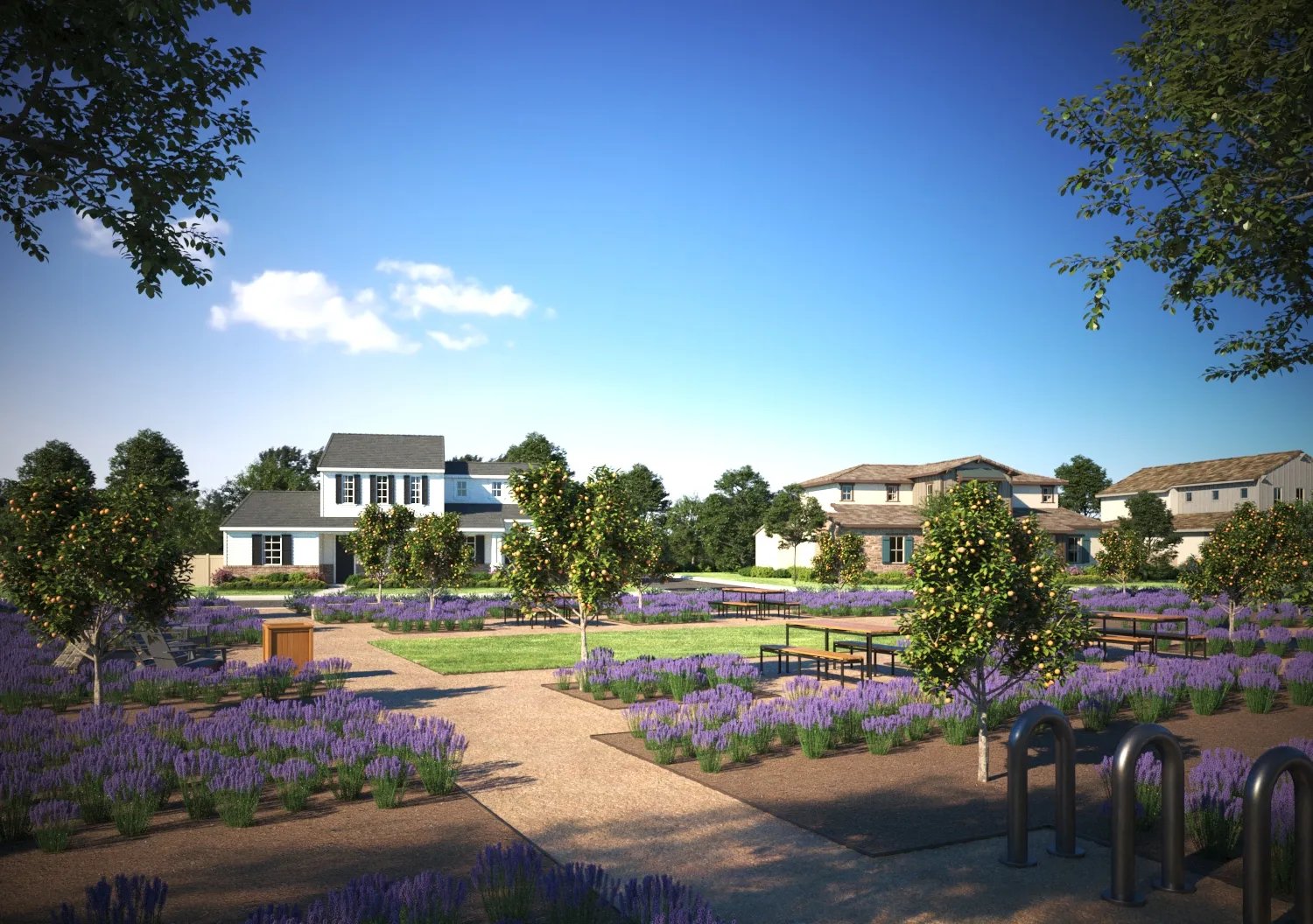 Greenbelt in The Farm in Poway
