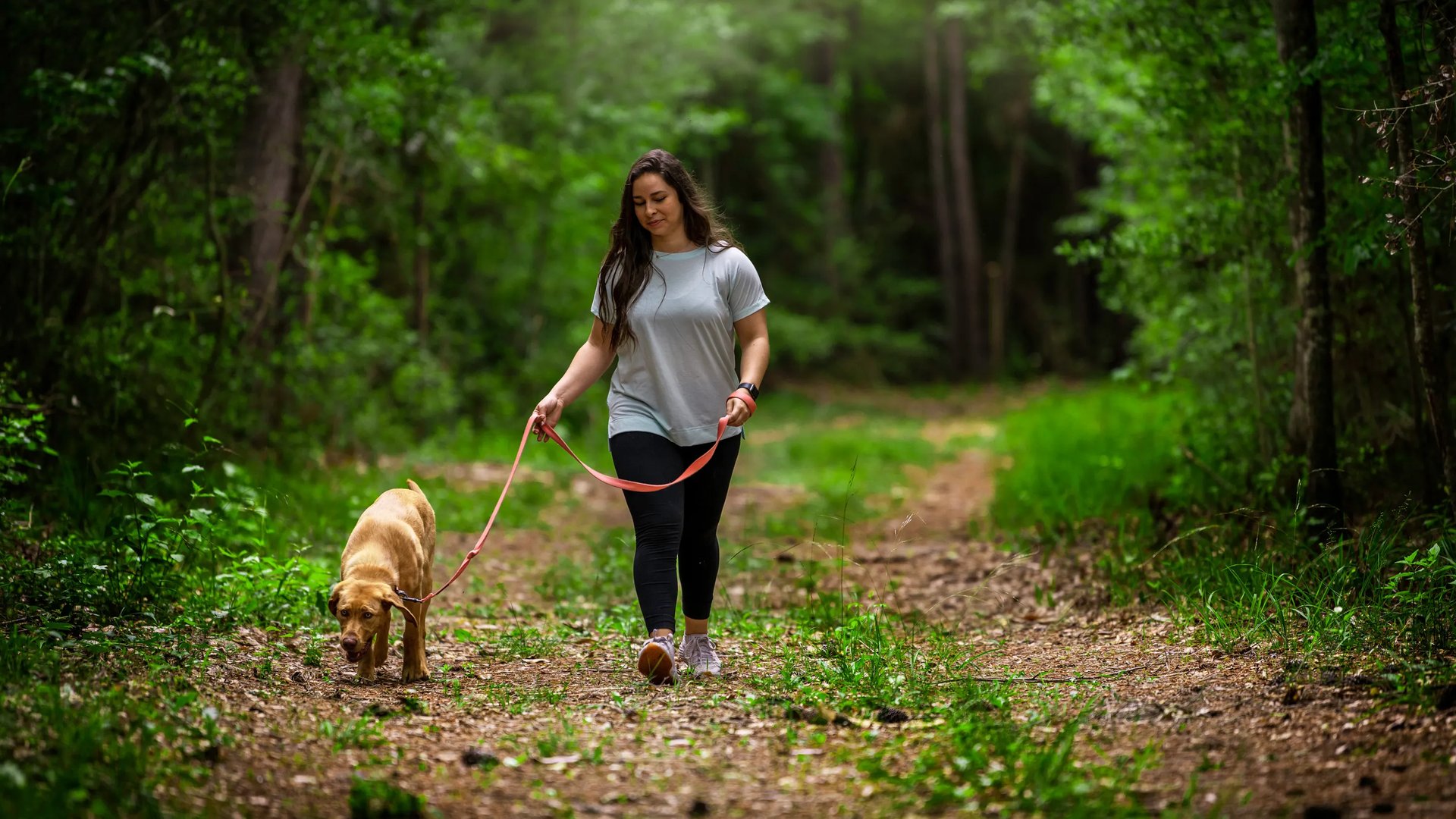 HOU_TheHighlands_Pic_Lifestyle_Trails_2of3_dev (Trail in The Highlands)