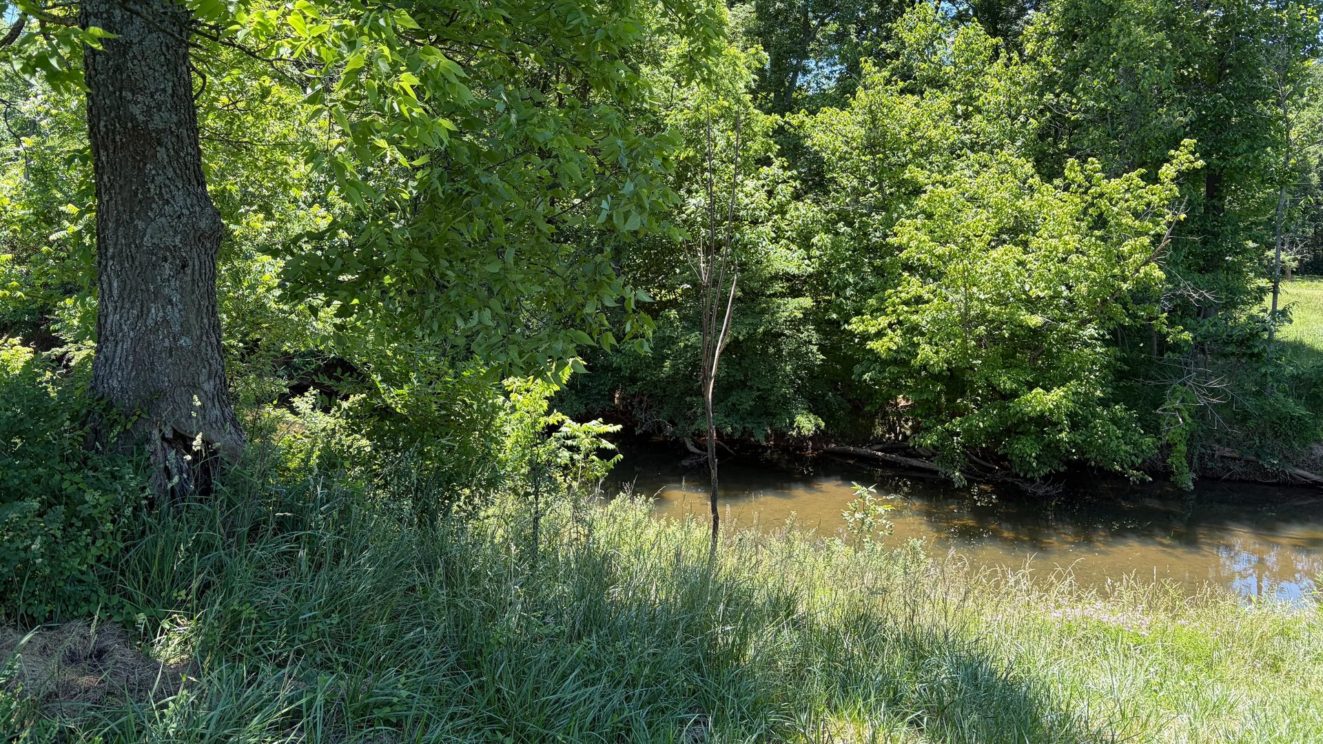 Trail amenity image (Trail in Kincora)