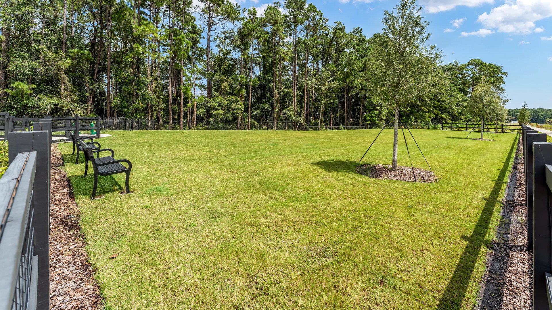 Dog Park in Saddle Oaks