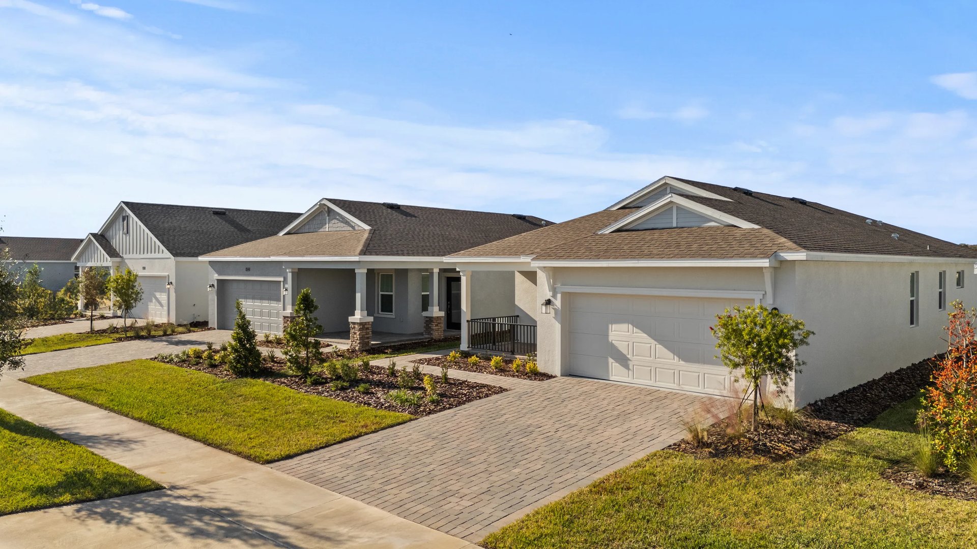 Single Family Collection photo 4